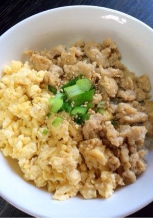 子供も大好き♡鶏そぼろの2色丼-レシピのメイン写真
