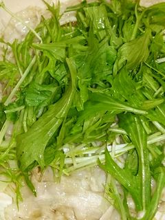 超簡単★ダイエット♪もやし豚バラ水菜蒸し-レシピのメイン写真
