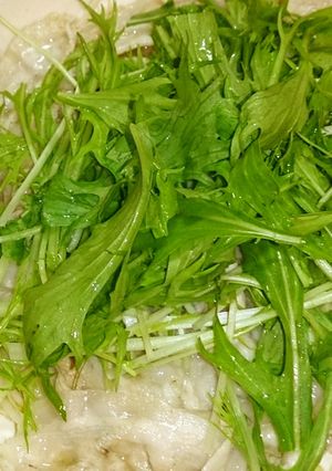 超簡単★ダイエット♪もやし豚バラ水菜蒸し-レシピのメイン写真