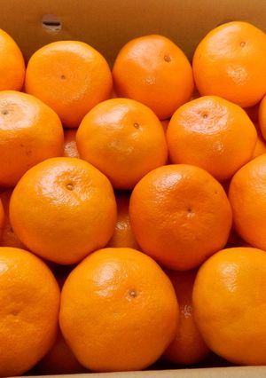 箱買い♬みかんの保存方法-レシピのメイン写真