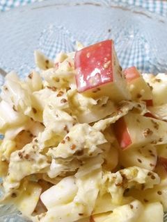 宮城旬野菜林檎と白菜の粒マスタードサラダ-レシピのメイン写真
