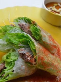 84.シカ肉の生春巻き-レシピのメイン写真
