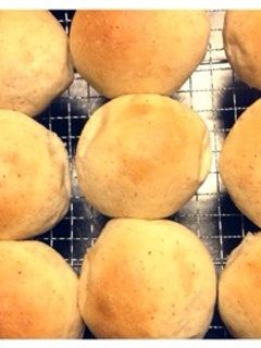 全粒粉入りプチパン-レシピのメイン写真