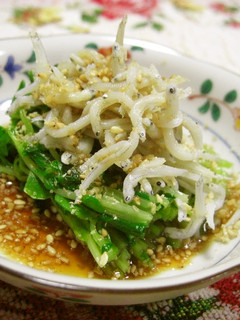 ☆豆苗&しらすで!!さっぱりおひたし☆彡-レシピのメイン写真