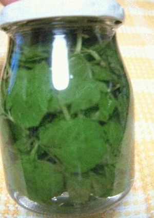 絶対役立つ！果実酒④「ミント酒｣-レシピのメイン写真