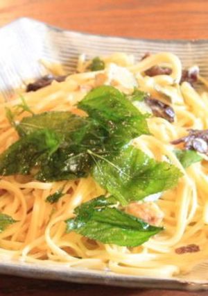 96.鹿ツナのスパゲッティ-レシピのメイン写真