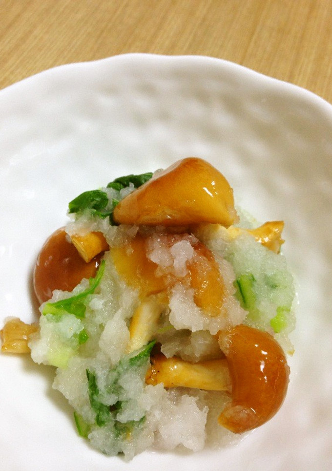 贅沢！！原木なめこのおろし和え-レシピのメイン写真