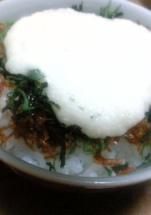 ちりめん山椒のとろろご飯-レシピのメイン写真