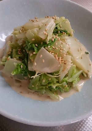 超簡単☆やみつき白菜サラダ-レシピのメイン写真
