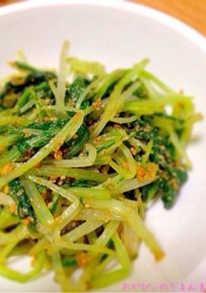 水菜の胡麻和え-レシピのメイン写真