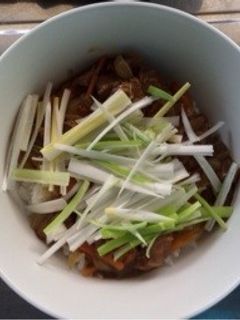牛すじのカレー丼(圧力鍋使用)-レシピのメイン写真