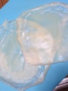 簡単!手作り春巻きの皮☆-レシピのメイン写真