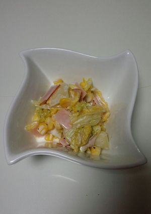 白菜サラダ♪コールスロー♪-レシピのメイン写真