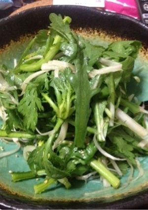 大根と春菊とネギのサラダ-レシピのメイン写真