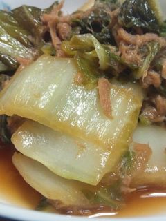 白菜とツナの煮物-レシピのメイン写真