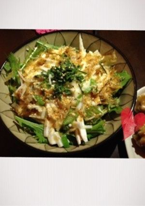 安い！水菜.長芋のネバネバーサラダ♡-レシピのメイン写真