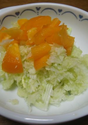 キャベツ甘！！そのまんまサラダ-レシピのメイン写真