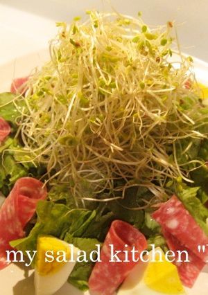 簡単☆スプラウトとハムのイタリアンサラダ-レシピのメイン写真