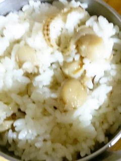 ベビーホタテの混ぜご飯♪-レシピのメイン写真