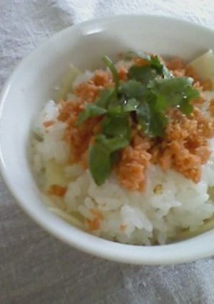 ズボラ飯☆鮭チーズ丼-レシピのメイン写真