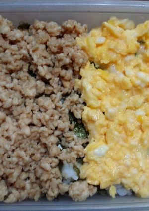 ヒルナンデスの簡単！レンジでそぼろ弁当！-レシピのメイン写真