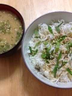 誰でも簡単!釜あげしらす丼-レシピのメイン写真