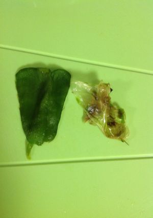 ⭐️離乳食⭐️ピーマンの皮むき-レシピのメイン写真