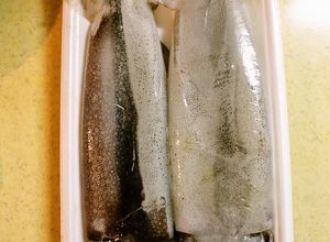 イカのさばき方☆ゲソもわたもいただきます-レシピのメイン写真