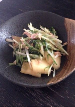 水菜とリンゴのサラダ-レシピのメイン写真