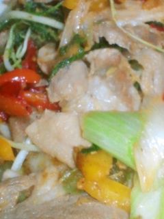 第2弾、豚のしょうが焼き風野菜炒め-レシピのメイン写真