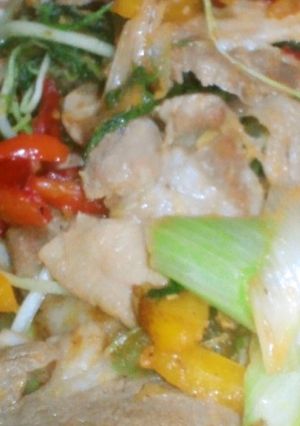 第2弾、豚のしょうが焼き風野菜炒め-レシピのメイン写真