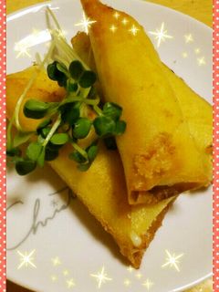 簡単♪長ねぎとチーズのミニ春巻き-レシピのメイン写真