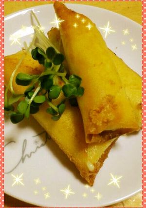 簡単♪長ねぎとチーズのミニ春巻き-レシピのメイン写真