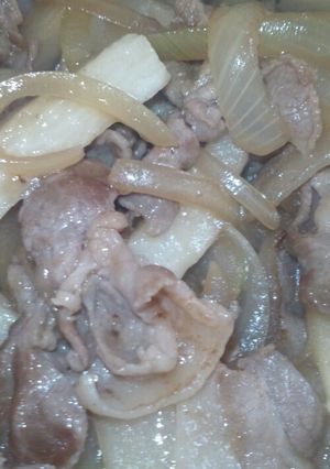 豚肉と長いもと玉ねぎの煮物-レシピのメイン写真