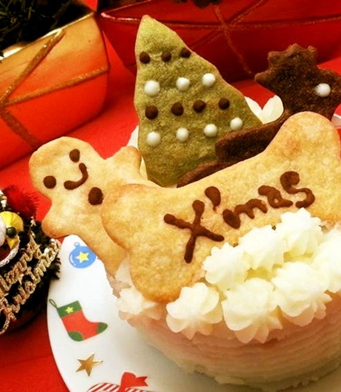 グレインフリー 犬用クリスマスケーキ♪-レシピのメイン写真