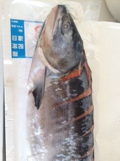 鮭あらの煮付け☆圧力鍋-レシピのメイン写真