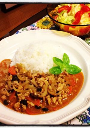 鶏ひき肉の簡単マサマンカレー-レシピのメイン写真