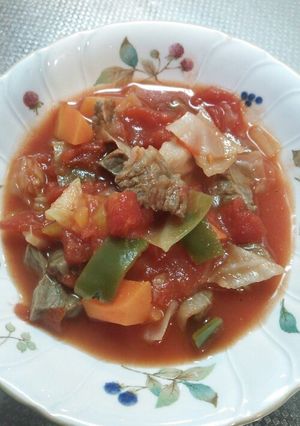 いぬ飯　牛肉のトマト煮込み-レシピのメイン写真