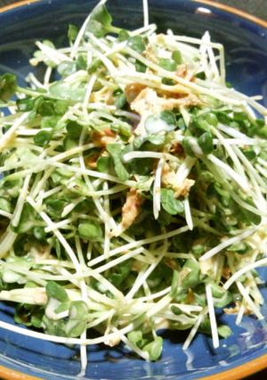 カイワレのおかかマヨぽん(味ぽん使用)-レシピのメイン写真