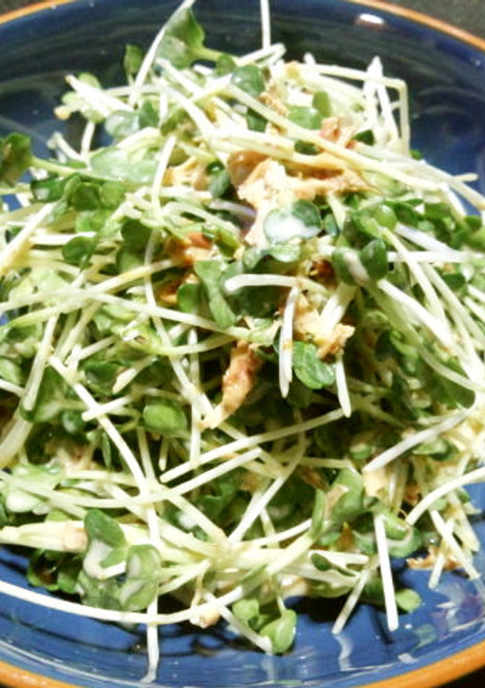 カイワレのおかかマヨぽん(味ぽん使用)-レシピのメイン写真