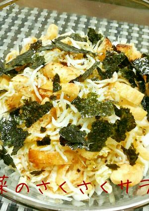 シンプルなおいしさ！白菜のさくさくサラダ-レシピのメイン写真