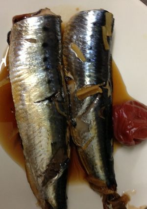 鰯の煮付け-レシピのメイン写真