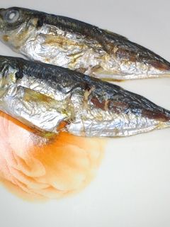 鯵の塩焼き-レシピのメイン写真