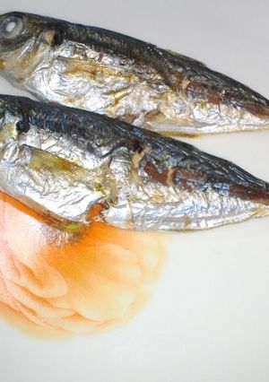 鯵の塩焼き-レシピのメイン写真