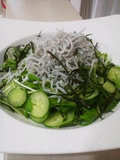 しらすと水菜の健康サラダ-レシピのメイン写真