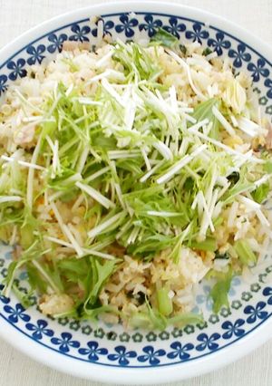 ヘルシーもやしチャーハン-レシピのメイン写真