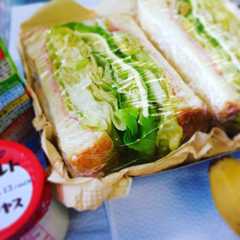調味料なし☆ハムチーズレタスサンド-レシピのメイン写真