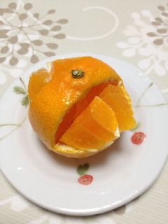 おせちに一品☆みかんの飾り切り-レシピのメイン写真