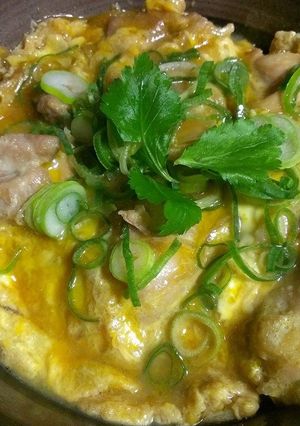 常に進化最新改訂版♡親子丼・味噌漬親子丼-レシピのメイン写真