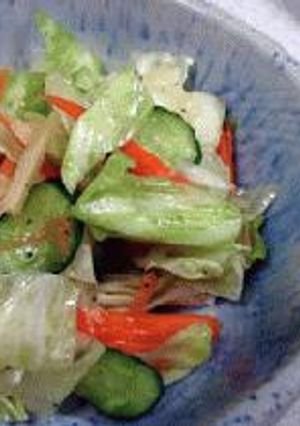 野菜の即席漬けショウガ風味-レシピのメイン写真